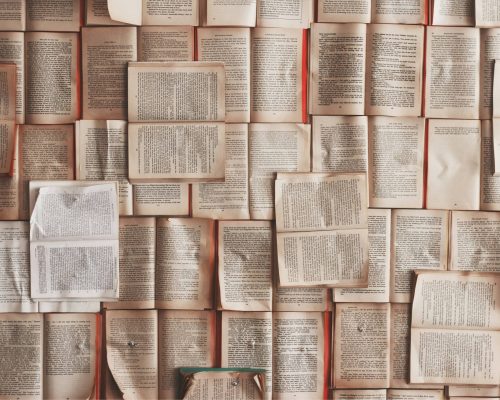 About The Book Bridge Project (1)