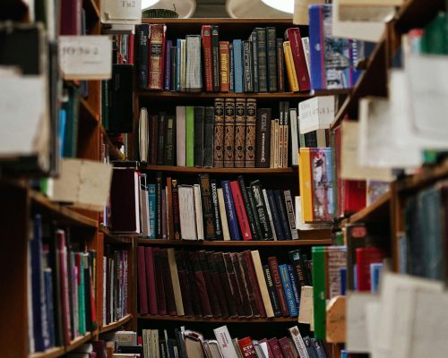 About The Book Bridge Project (5)